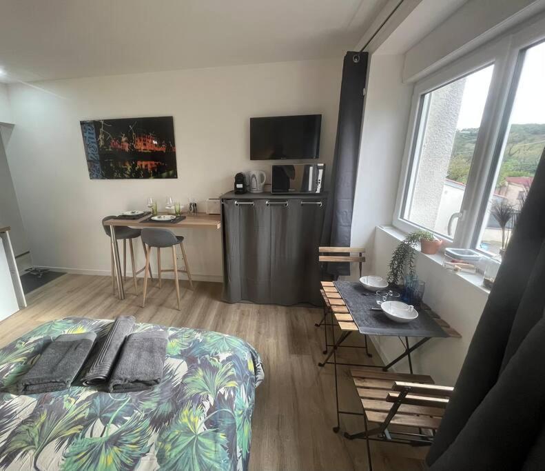 Verdi Studio Cosy Au Calme Parking Gratuit Chasse-sur-Rhône Extérieur photo