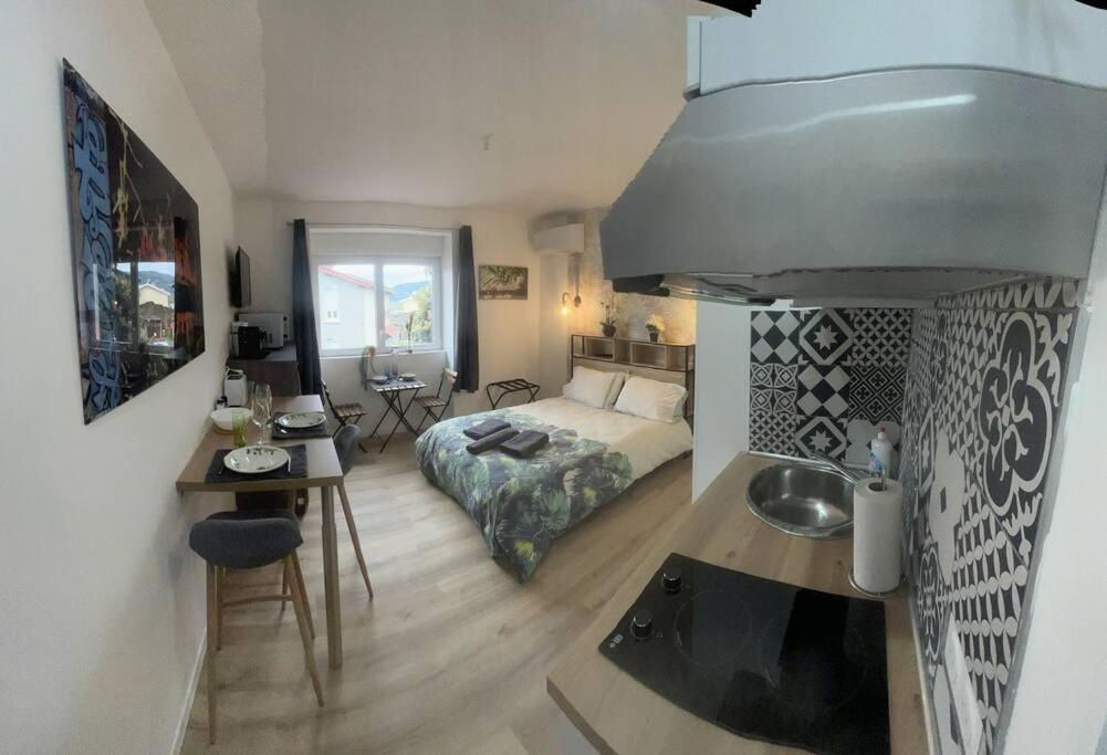 Verdi Studio Cosy Au Calme Parking Gratuit Chasse-sur-Rhône Extérieur photo