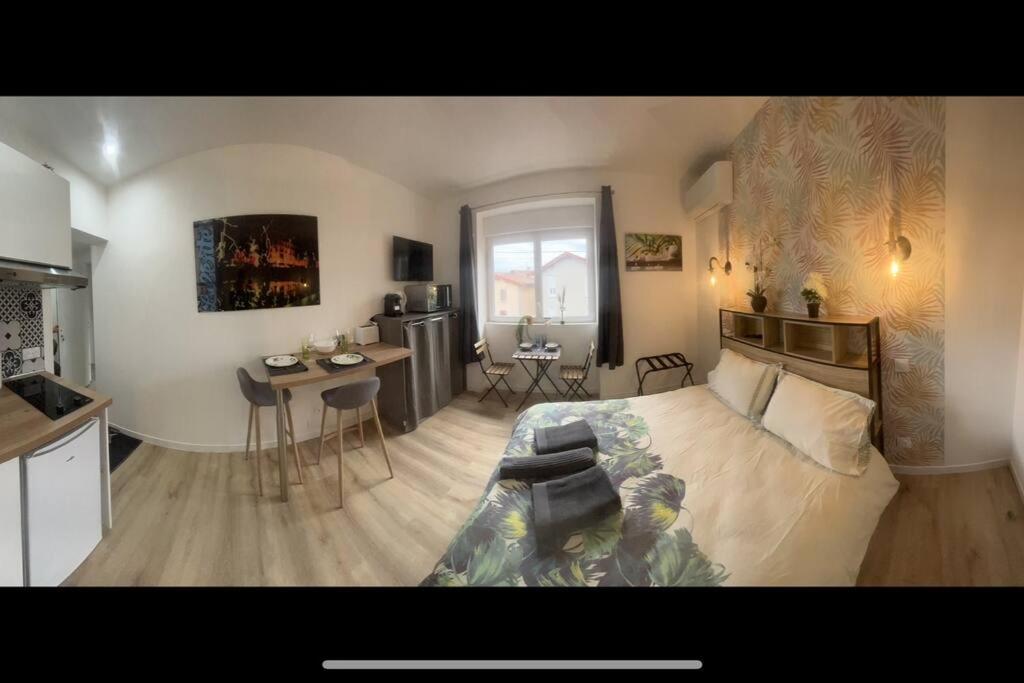 Verdi Studio Cosy Au Calme Parking Gratuit Chasse-sur-Rhône Extérieur photo