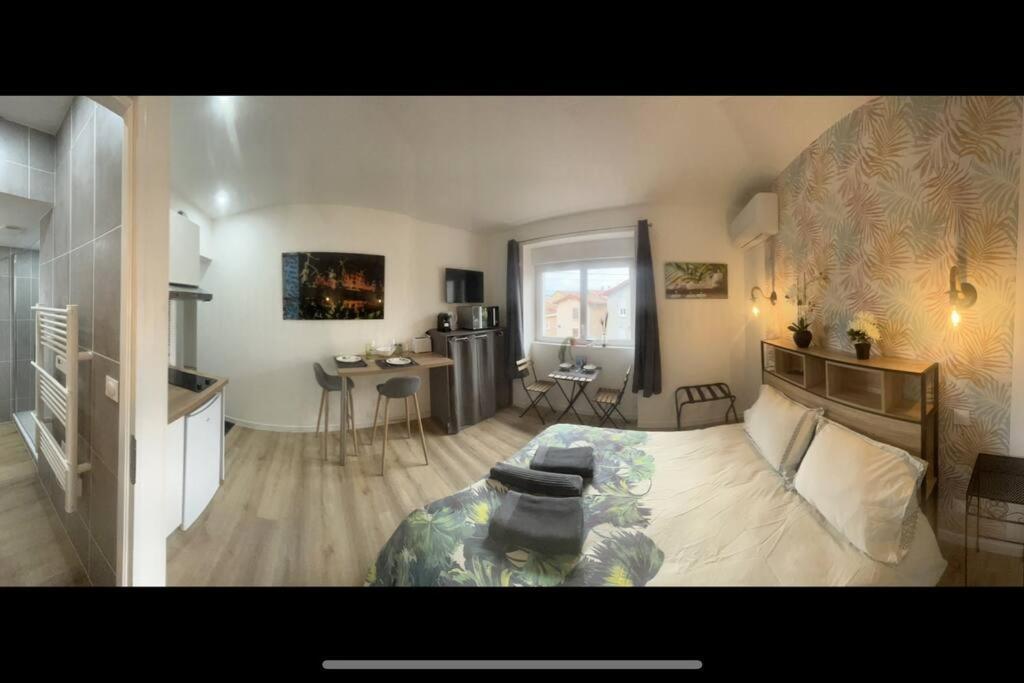 Verdi Studio Cosy Au Calme Parking Gratuit Chasse-sur-Rhône Extérieur photo